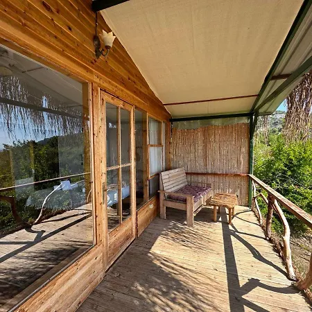 Nocleg ze śniadaniem Honey Hill Forest Cabins By The Sea *