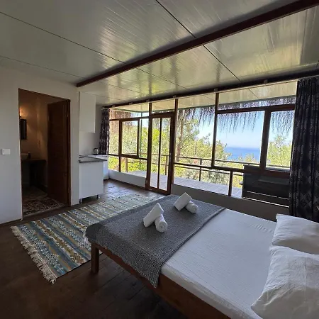 Honey Hill Forest Cabins By The Sea ベッド・アンド・ブレックファスト