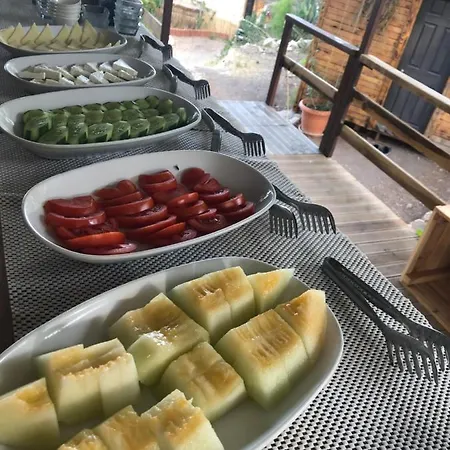 Bed & Breakfast Honey Hill Forest Cabins By The Sea Faralya