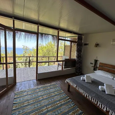 Honey Hill Forest Cabins By The Sea Bed & Breakfast *