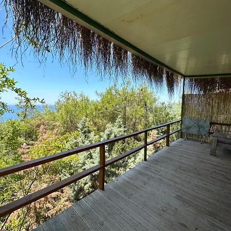 Honey Hill Forest Cabins By The Sea Bed & Breakfast *