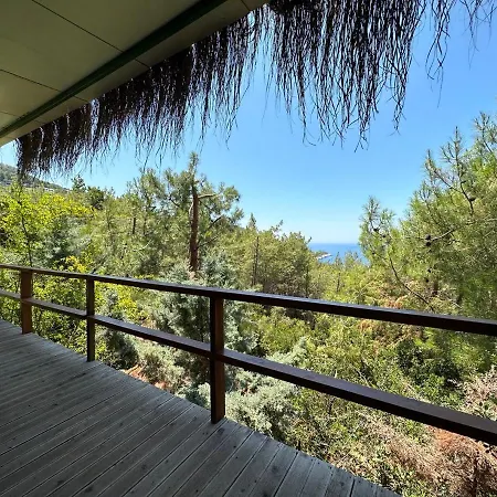 Bed & Breakfast Honey Hill Forest Cabins By The Sea *